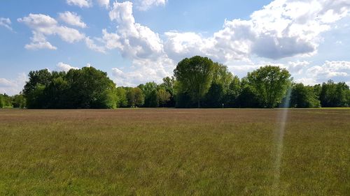 Scenic view of field against sky