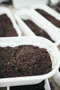 High angle view of potted plant