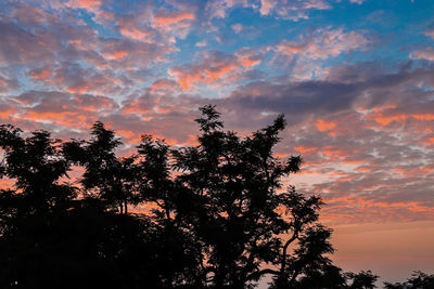 Low angle view of silhouette tree against sky during sunset