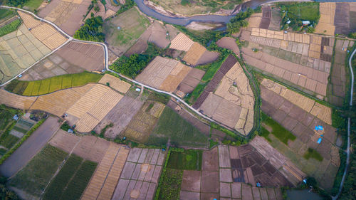 High angle view of agricultural field