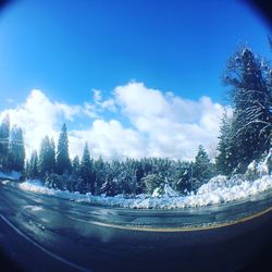 Road and trees against sky