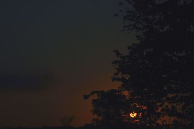 Low angle view of silhouette trees against sky at night