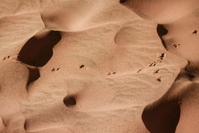 Full frame shot of sand dune