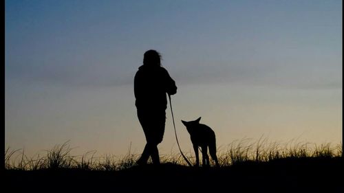 Silhouette of man with dog