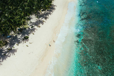 Drone view of couple at beach on sunny day