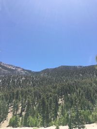 Scenic view of landscape against clear blue sky
