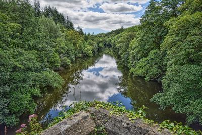 Reflection of trees in calm river against cloudy sky