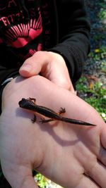 Close-up of man holding hands