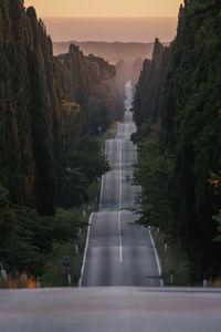 Un tramonto su bolgheri estate 19