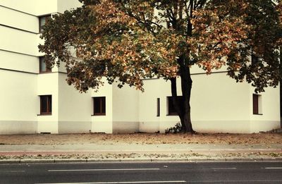 Built structure with trees in background