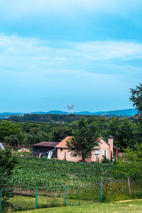 Houses and trees on field against sky