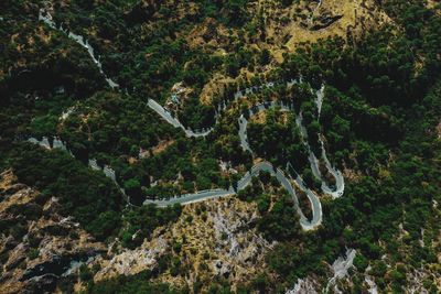 The road nainital uttarakhand india