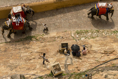 High angle view of people working on land
