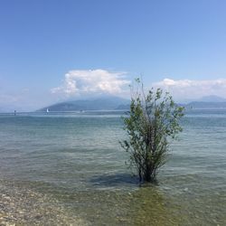 Scenic view of sea against cloudy sky