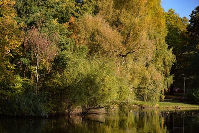 Scenic view of lake during autumn