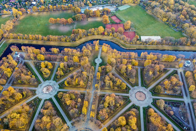 Aerial view of trees on field