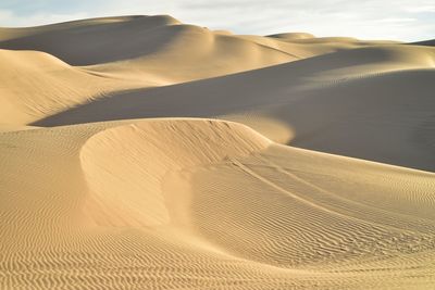 Sand dunes in a desert