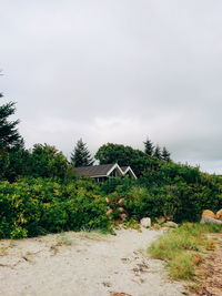 Trees and plants growing on field against sky