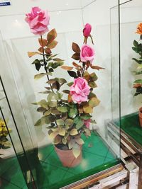 Close-up of pink flowering plant in glass window