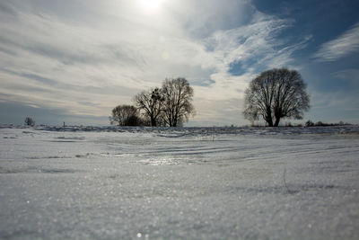 Bare trees on snow covered field against sky