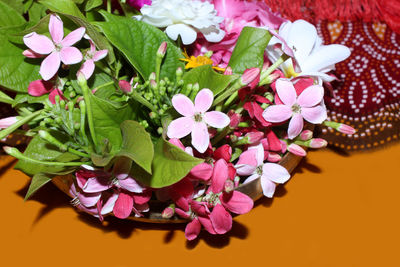 High angle view of purple flowering plant