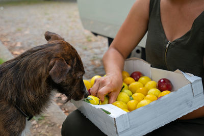 Midsection of man with fruits