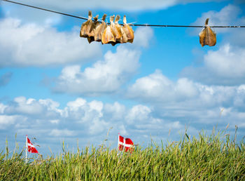 Low angle view of clothes drying against sky