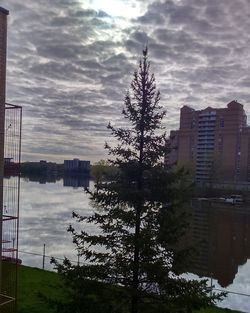 Reflection of trees and cloudy sky on water