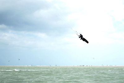 Birds flying over sea against sky