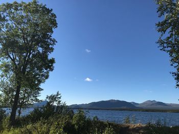 Scenic view of lake against blue sky