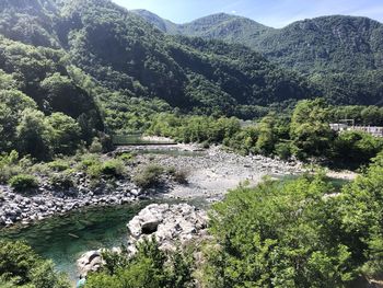 Scenic view of river flowing in forest