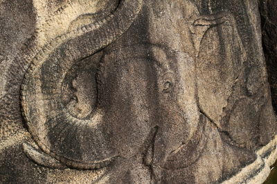 Close-up of elephant sculpture on rock at temple