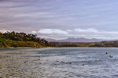 Scenic view of sea against sky