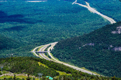 High angle view of road amidst trees