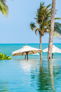 Palm tree by swimming pool against sky