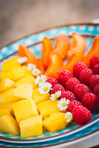 Close-up of chopped fruits in plate