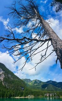 Low angle view of bare tree against cloudy sky