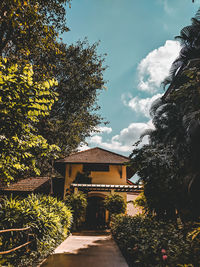 Footpath amidst trees and buildings against sky