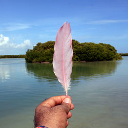 Person holding umbrella by lake against sky