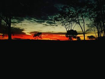 Silhouette trees on beach against dramatic sky