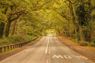 Road amidst trees