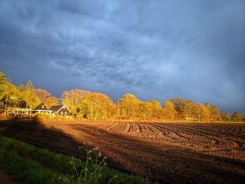 Scenic view of agricultural field against sky