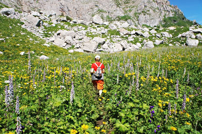 Young caucasian woman hiker from behind with backpack walking in green caucasus mountains