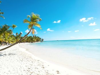 Scenic view of beach against blue sky