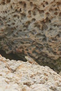 Full frame shot of rock