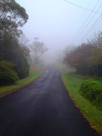 Empty road along trees