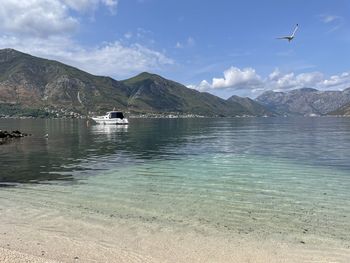 View of birds flying over lake against mountains