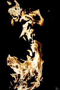 Close-up of bonfire against black background