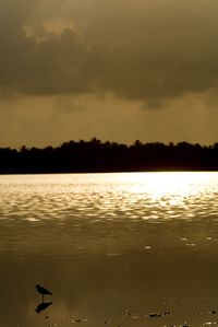 Scenic view of lake at sunset