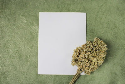 High angle view of breakfast on table